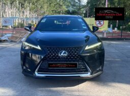 
										2020 LEXUS UX200 full									