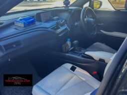 
										2020 LEXUS UX200 full									